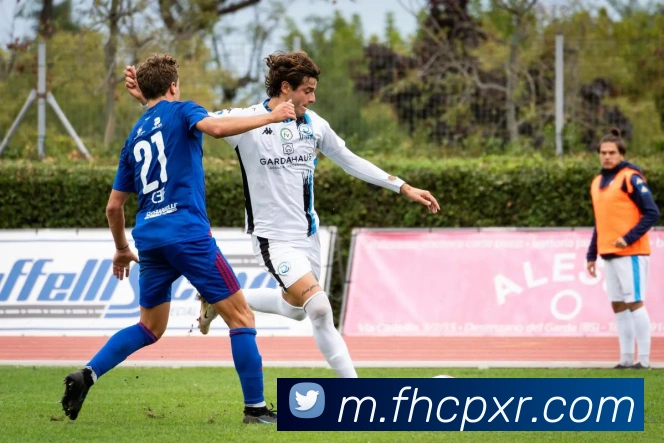 凤凰彩票平台生态图