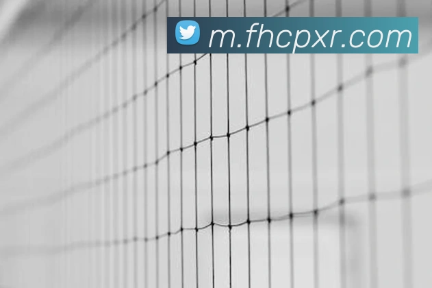 凤凰彩票APP 封面图